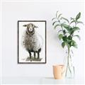 Picture of Watercolour Sheep  _GroupedProduct_Rectangle_Portrait_Canvas_Framed_