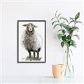 Picture of Watercolour Sheep  _GroupedProduct_Rectangle_Portrait_Canvas_Framed_