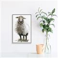 Picture of Watercolour Sheep  _GroupedProduct_Rectangle_Portrait_Canvas_Framed_