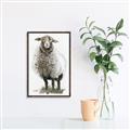 Picture of Watercolour Sheep  _GroupedProduct_Rectangle_Portrait_Canvas_Framed_