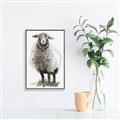Picture of Watercolour Sheep  _GroupedProduct_Rectangle_Portrait_Canvas_Framed_