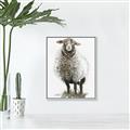 Picture of Watercolour Sheep  _GroupedProduct_Rectangle_Portrait_Canvas_Framed_