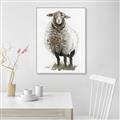 Picture of Watercolour Sheep  _GroupedProduct_Rectangle_Portrait_Canvas_Framed_