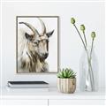 Picture of Watercolour Ram  _GroupedProduct_Rectangle_Portrait_Canvas_Framed_