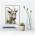 Picture of Watercolour Ram  _GroupedProduct_Rectangle_Portrait_Canvas_Framed_