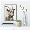 Picture of Watercolour Ram  _GroupedProduct_Rectangle_Portrait_Canvas_Framed_