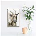 Picture of Watercolour Ram  _GroupedProduct_Rectangle_Portrait_Canvas_Framed_