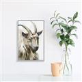 Picture of Watercolour Ram  _GroupedProduct_Rectangle_Portrait_Canvas_Framed_