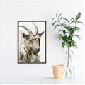 Picture of Watercolour Ram  _GroupedProduct_Rectangle_Portrait_Canvas_Framed_