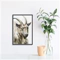 Picture of Watercolour Ram  _GroupedProduct_Rectangle_Portrait_Canvas_Framed_