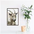Picture of Watercolour Ram  _GroupedProduct_Rectangle_Portrait_Canvas_Framed_