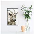 Picture of Watercolour Ram  _GroupedProduct_Rectangle_Portrait_Canvas_Framed_