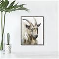 Picture of Watercolour Ram  _GroupedProduct_Rectangle_Portrait_Canvas_Framed_
