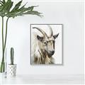 Picture of Watercolour Ram  _GroupedProduct_Rectangle_Portrait_Canvas_Framed_
