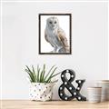 Picture of Watercolour Owl  _GroupedProduct_Rectangle_Portrait_Canvas_Framed_