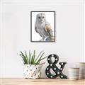 Picture of Watercolour Owl  _GroupedProduct_Rectangle_Portrait_Canvas_Framed_