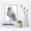 Picture of Watercolour Owl  _GroupedProduct_Rectangle_Portrait_Canvas_Framed_
