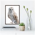 Picture of Watercolour Owl  _GroupedProduct_Rectangle_Portrait_Canvas_Framed_
