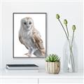 Picture of Watercolour Owl  _GroupedProduct_Rectangle_Portrait_Canvas_Framed_