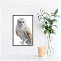 Picture of Watercolour Owl  _GroupedProduct_Rectangle_Portrait_Canvas_Framed_