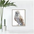 Picture of Watercolour Owl  _GroupedProduct_Rectangle_Portrait_Canvas_Framed_