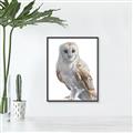 Picture of Watercolour Owl  _GroupedProduct_Rectangle_Portrait_Canvas_Framed_