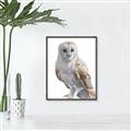 Picture of Watercolour Owl  _GroupedProduct_Rectangle_Portrait_Canvas_Framed_