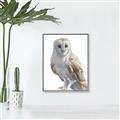 Picture of Watercolour Owl  _GroupedProduct_Rectangle_Portrait_Canvas_Framed_