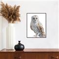 Picture of Watercolour Owl  _GroupedProduct_Rectangle_Portrait_Canvas_Framed_