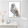 Picture of Watercolour Owl  _GroupedProduct_Rectangle_Portrait_Canvas_Framed_
