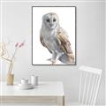Picture of Watercolour Owl  _GroupedProduct_Rectangle_Portrait_Canvas_Framed_