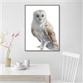 Picture of Watercolour Owl  _GroupedProduct_Rectangle_Portrait_Canvas_Framed_