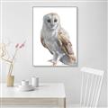 Picture of Watercolour Owl  _GroupedProduct_Rectangle_Portrait_Canvas_Framed_