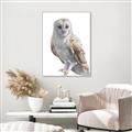 Picture of Watercolour Owl  _GroupedProduct_Rectangle_Portrait_Canvas_Framed_