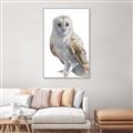 Picture of Watercolour Owl  _GroupedProduct_Rectangle_Portrait_Canvas_Framed_