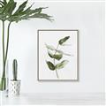 Picture of Green Leaves I  _GroupedProduct_Rectangle_Portrait_Canvas_Framed_