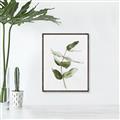 Picture of Green Leaves I  _GroupedProduct_Rectangle_Portrait_Canvas_Framed_