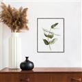 Picture of Green Leaves I  _GroupedProduct_Rectangle_Portrait_Canvas_Framed_