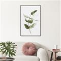 Picture of Green Leaves I  _GroupedProduct_Rectangle_Portrait_Canvas_Framed_