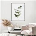 Picture of Green Leaves I  _GroupedProduct_Rectangle_Portrait_Canvas_Framed_