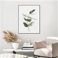 Picture of Green Leaves I  _GroupedProduct_Rectangle_Portrait_Canvas_Framed_