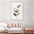 Picture of Green Leaves I  _GroupedProduct_Rectangle_Portrait_Canvas_Framed_
