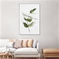 Picture of Green Leaves I  _GroupedProduct_Rectangle_Portrait_Canvas_Framed_