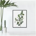 Picture of Green Leaves II  _GroupedProduct_Rectangle_Portrait_Canvas_Framed_