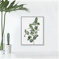 Picture of Green Leaves II  _GroupedProduct_Rectangle_Portrait_Canvas_Framed_