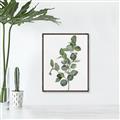 Picture of Green Leaves II  _GroupedProduct_Rectangle_Portrait_Canvas_Framed_