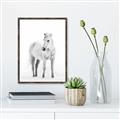 Picture of Solo White Horse _GroupedProduct_Rectangle_Portrait_Photography _GroupedProduct_Rectangle_Portrait_Canvas_Framed_