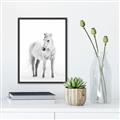 Picture of Solo White Horse _GroupedProduct_Rectangle_Portrait_Photography _GroupedProduct_Rectangle_Portrait_Canvas_Framed_