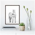 Picture of Solo White Horse _GroupedProduct_Rectangle_Portrait_Photography _GroupedProduct_Rectangle_Portrait_Canvas_Framed_