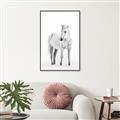 Picture of Solo White Horse _GroupedProduct_Rectangle_Portrait_Photography _GroupedProduct_Rectangle_Portrait_Canvas_Framed_